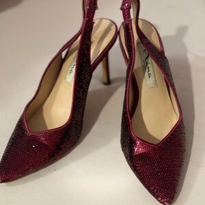 Nina Ruby Red Sparkle Shoes!
